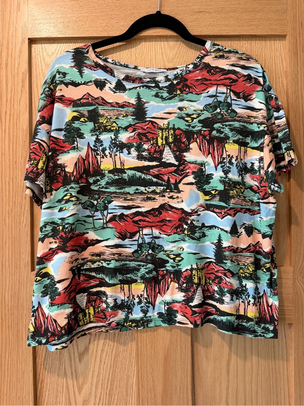 Zara Multicolor Scenic Print Short Sleeve Tee